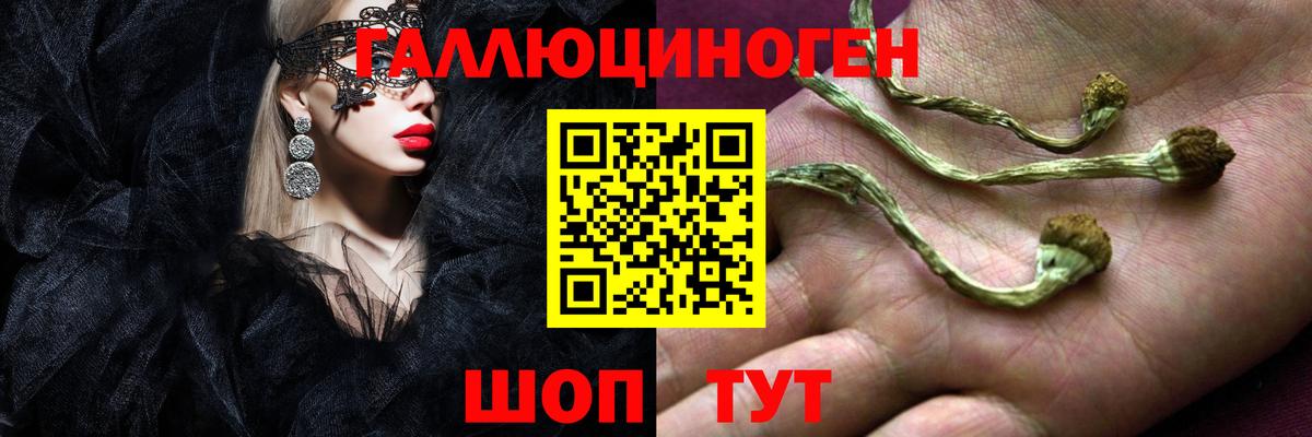 Галлюциногенные грибы MAGIC MUSHROOMS  Вход с VPN  Россия 
